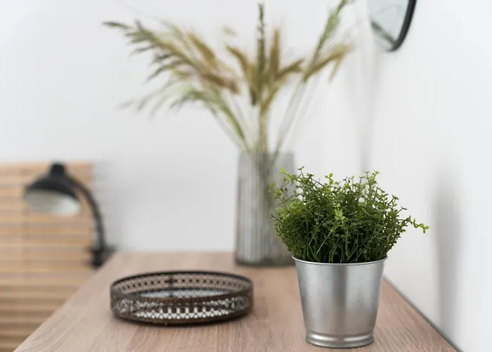 Platon Apartamento *